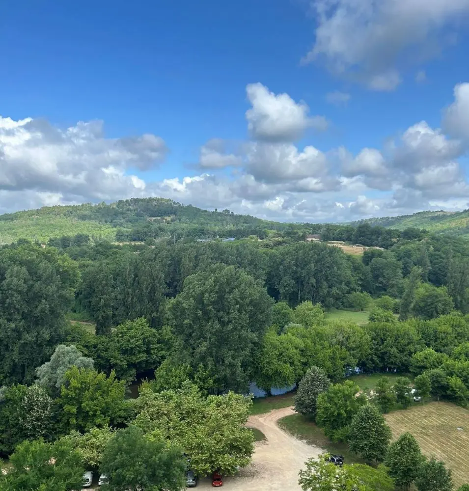 Vista panorámica del frondoso valle del río Vézère desde las terrazas superiores del castillo troglodita Maison Forte de Reignac en Dordoña.
