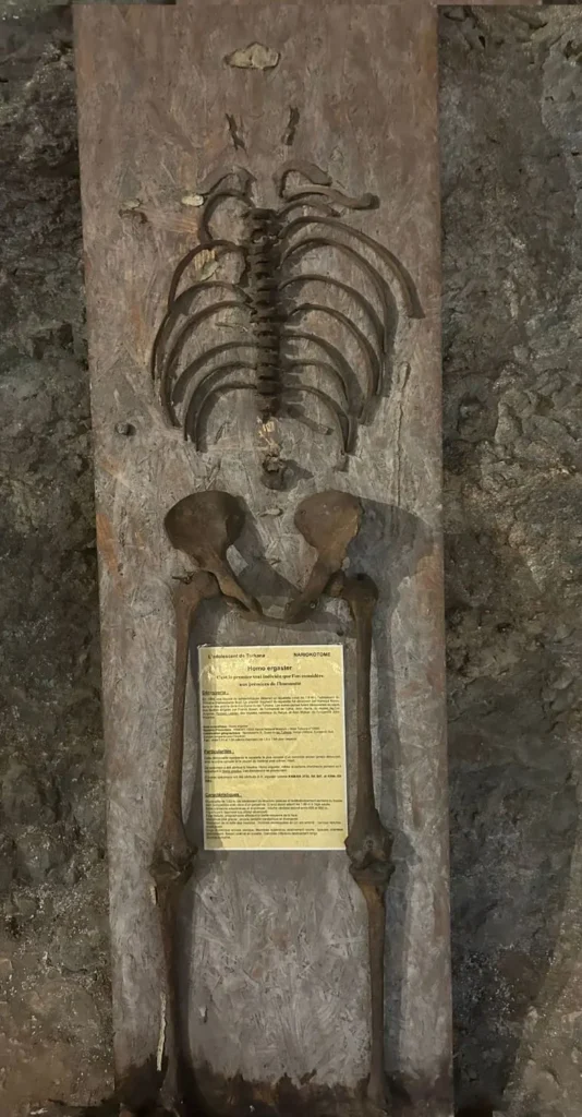 Réplica de un esqueleto de Homo ergaster expuesta sobre un panel de madera en la sala prehistórica de la Maison Forte de Reignac.