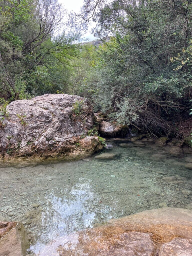 Poza de agua cristalina en un río de montaña en las rutas de senderismo de las Montañas de Prades. El agua transparente y las rocas erosionadas están rodeadas por un bosque denso. Ideal para rutas de agua en Cataluña.