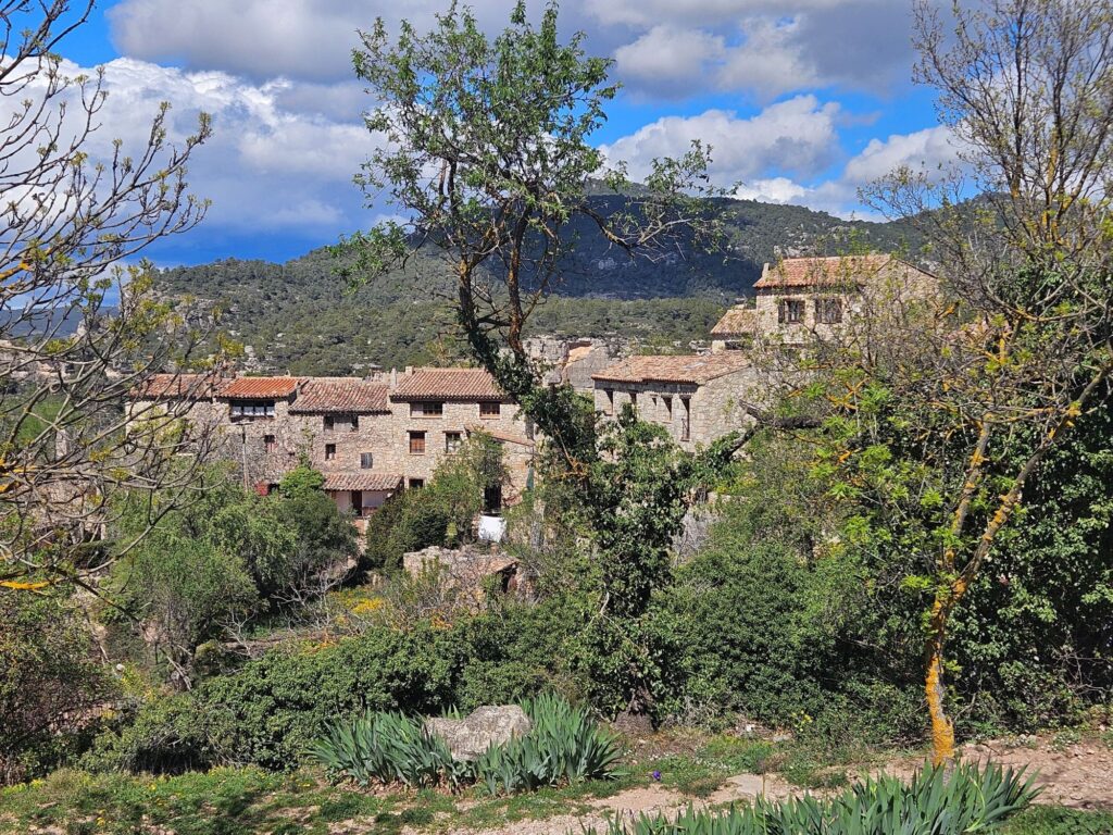 Fachadas de casas tradicionales de piedra en Siurana rodeadas de vegetación con las montañas del Priorat de fondo.