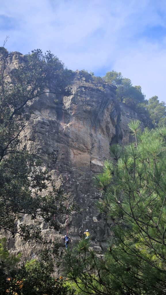 Escalador en plena acción en una pared de roca en Siurana, enmarcado artísticamente por ramas de pinos.