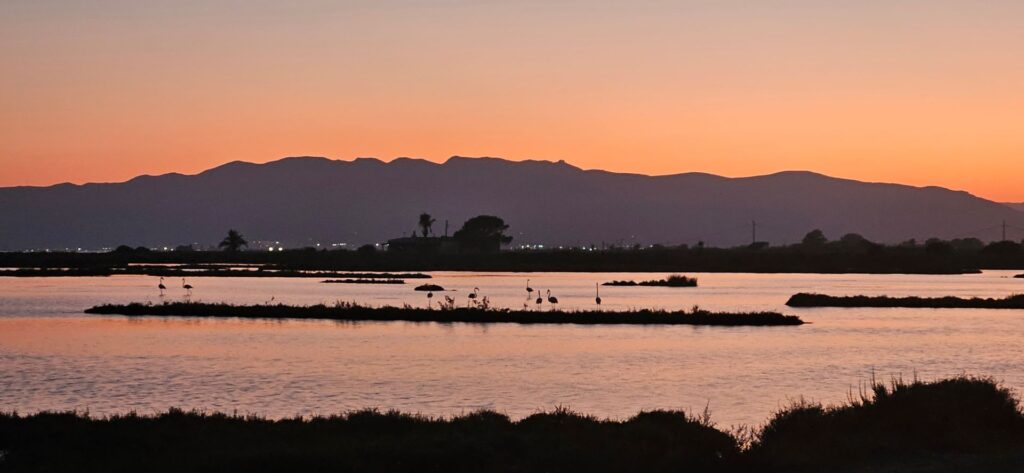 Paisaje de atardecer en los humedales del Delta del Ebro, Tarragona. El cielo naranja y rosado se refleja en el agua, con siluetas de montañas al fondo y varios flamencos descansando en pequeñas islas de vegetación.