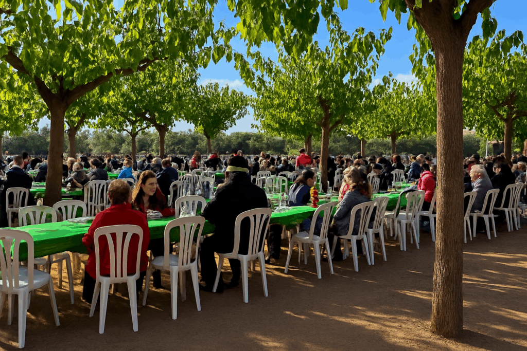 Grandes mesas dispuestas bajo los árboles en la Festa de l'Oli Nou de El Morell, con asistentes disfrutando de un esmorzar popular bajo el sol.