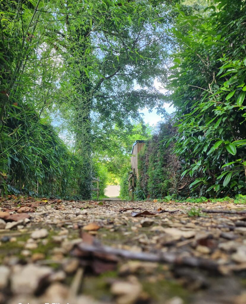 Sendero estrecho y enmarcado por vegetación densa con una estructura lejana. Ilustra el inicio de un viaje de descubrimiento en las Rutas Culturales de Leyenda.