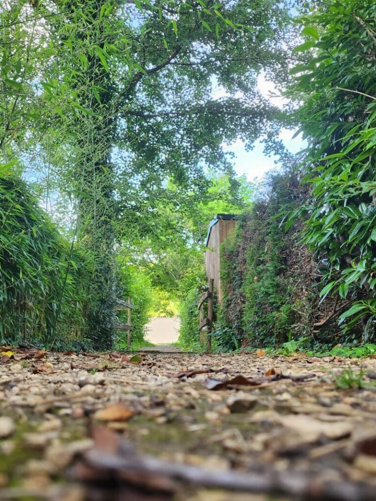 Sendero estrecho y enmarcado por vegetación densa con una estructura lejana. Ilustra el inicio de un viaje de descubrimiento en las Rutas Culturales de Leyenda.