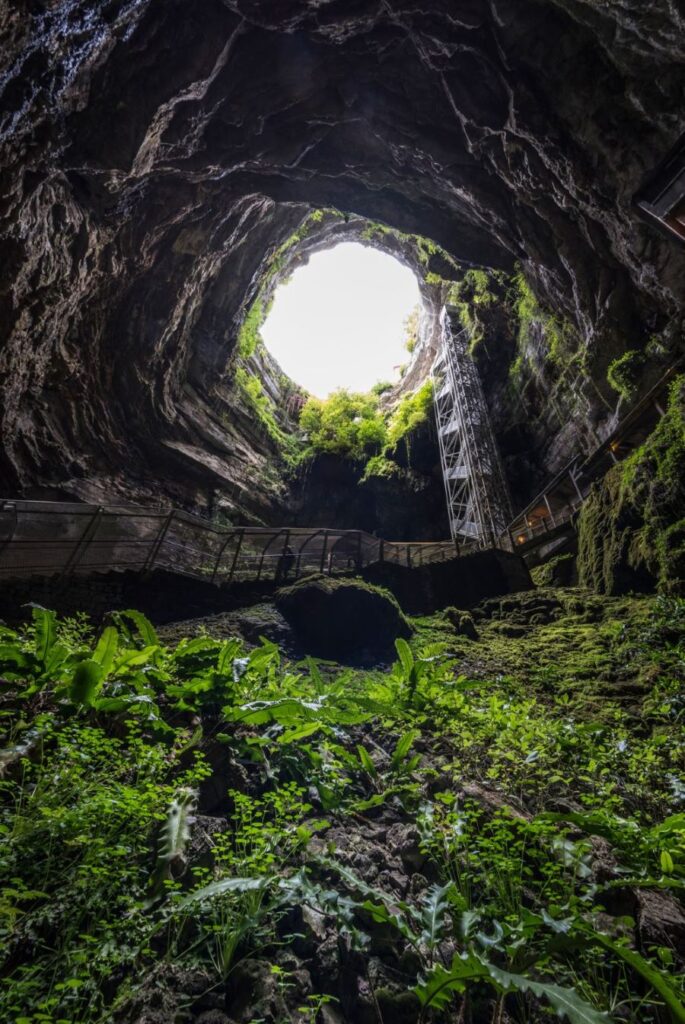Vista interior de la Sima de Padirac mirando hacia el cielo. Naturaleza y vegetación creciendo en las paredes del Geoparque Causses du Quercy.