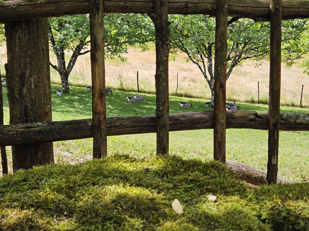 Valla de madera rústica y piedra con musgo en primer plano, con vistas a un prado verde y las antiguas cabañas de piedra de Les Cabanes du Breuil en la Dordoña, Francia.