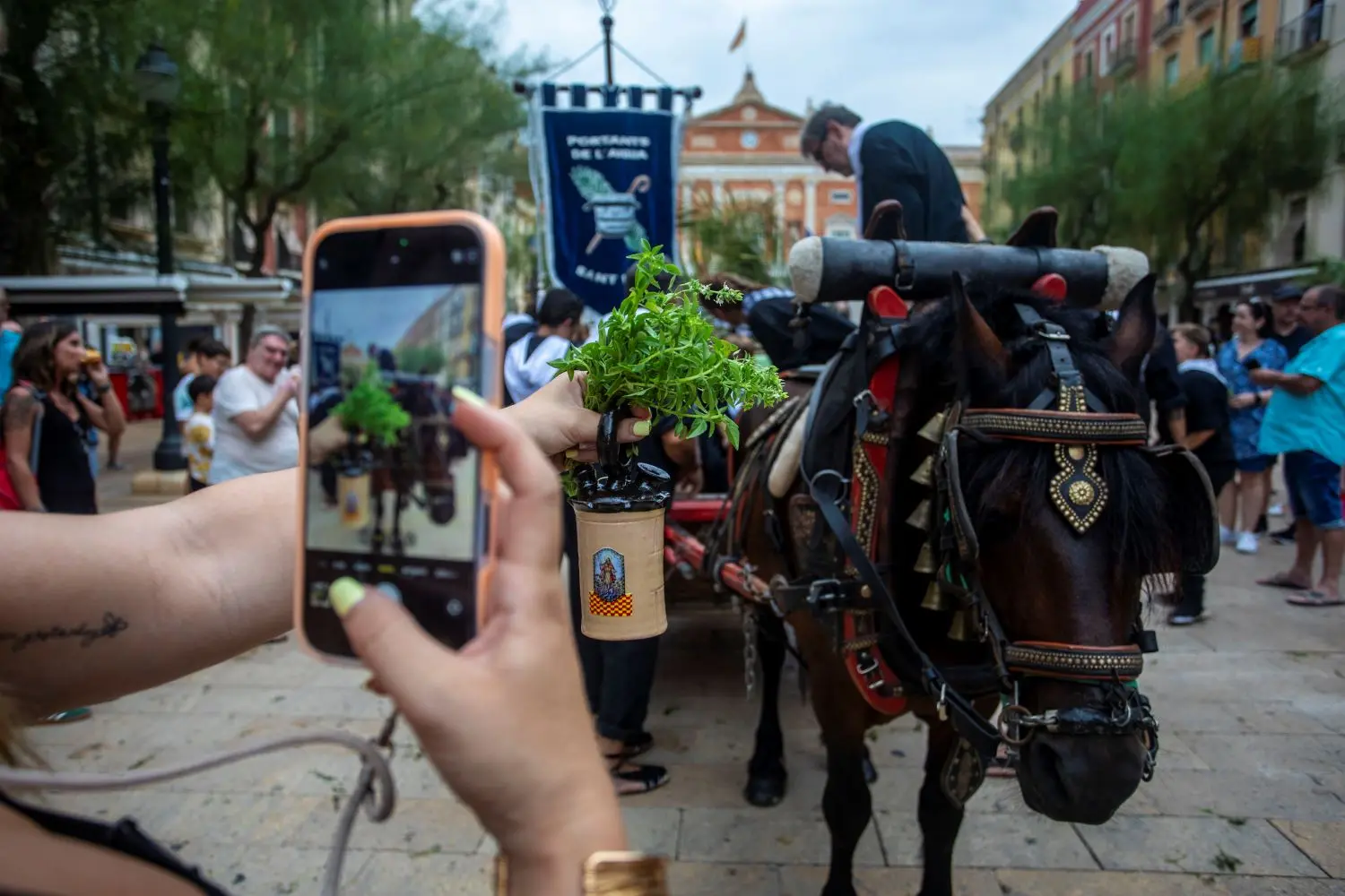 Persona grabando con su teléfono móvil un carro tradicional tirado por un caballo y adornado con ramas verdes durante la fiesta de Sant Magí.